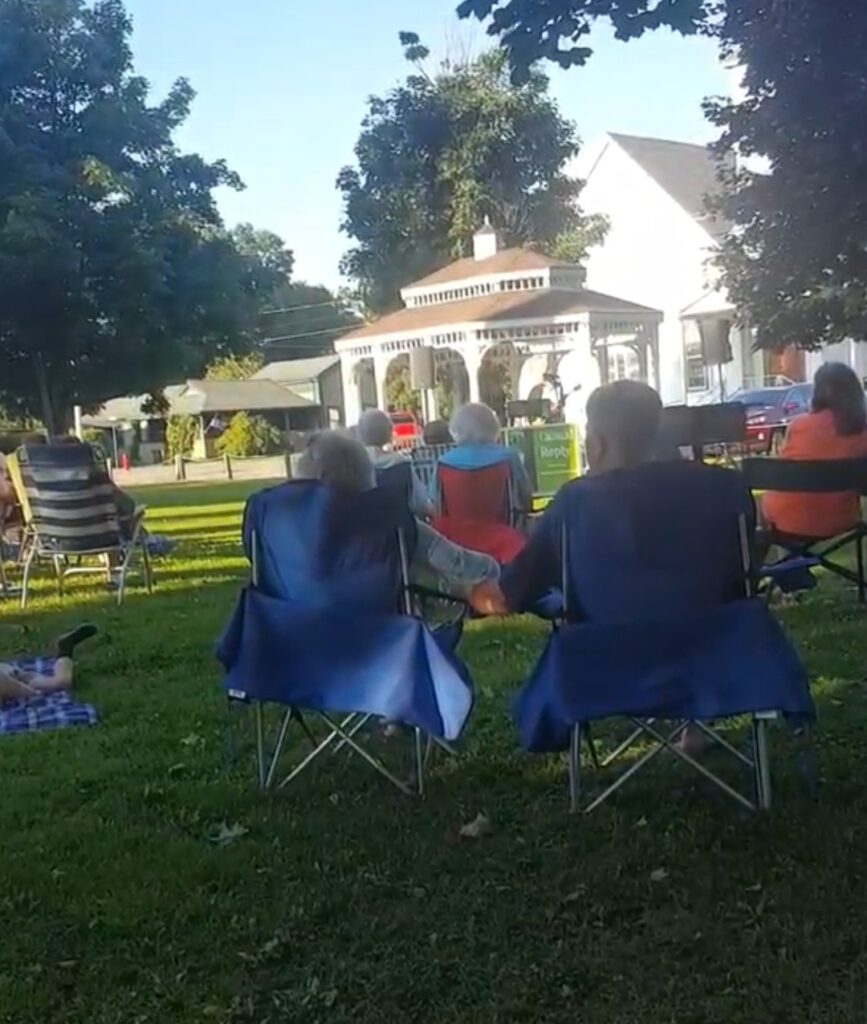 people sitting listening to music in the park
